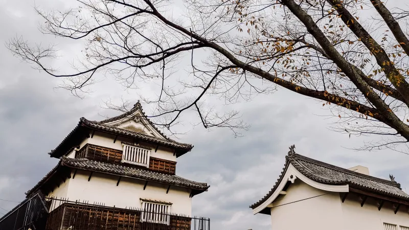 รีวิวเที่ยวญี่ปุ่น เมืองฟุกุโอกะ (Fukuoka)