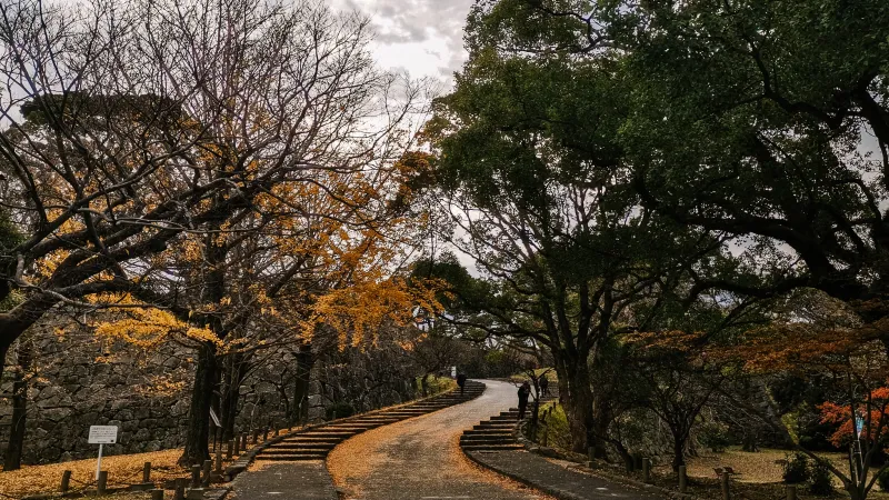 รีวิวเที่ยวญี่ปุ่น เมืองฟุกุโอกะ (Fukuoka) - สวนสาธารณะโอโฮริ