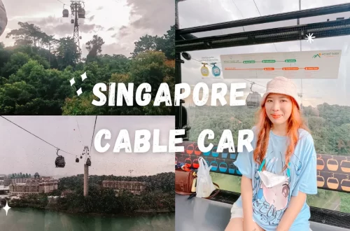 รีวิวเที่ยวสิงคโปร์ Singapore Cable Car_1