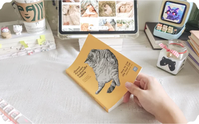 หนังสือเมื่อแมวบ้านคุณผันตัวมาเป็นไลฟ์โค้ช (How to Live Like Your Cat)